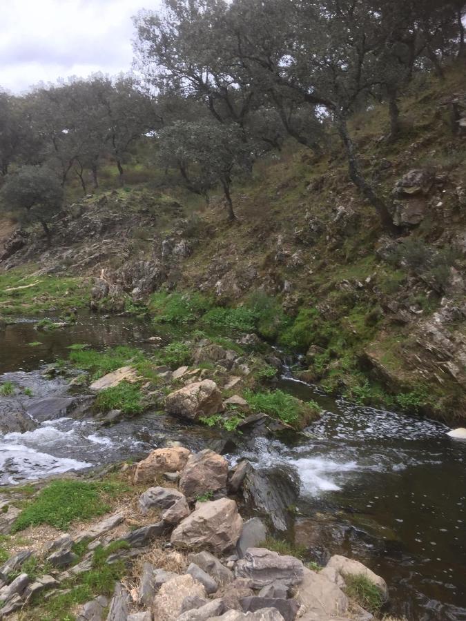 Casa Rural Quejigo Con Piscina Santa Olalla del Cala Exteriör bild